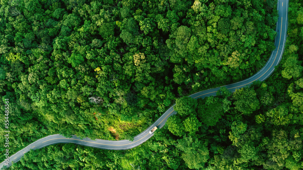 Road in the middle of the forest , road curve construction up to mountain, Rainforest ecosystem and 