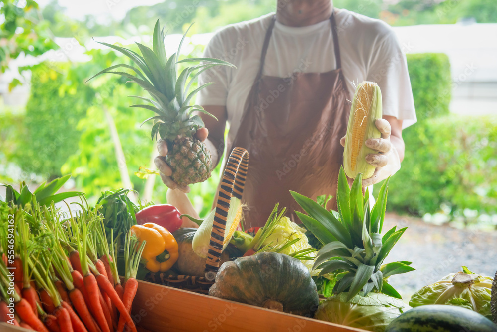 Farmer standing in the farm and selecting vegetables for sale. Selective focus