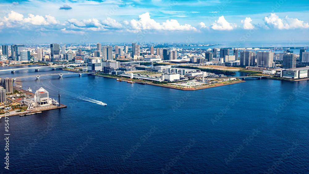 Aerial view of boats in Odaiba Harbor in Tokyo, Japan