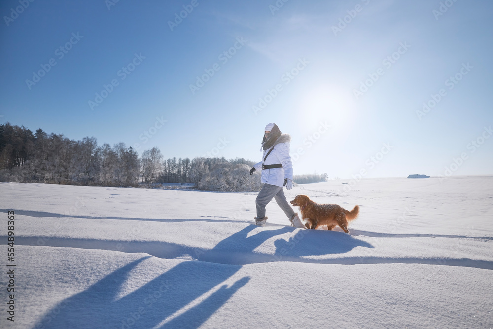 Woman with dog during frosty winter day. Pet owner walking on snowy field with his loyal Nova Scotia