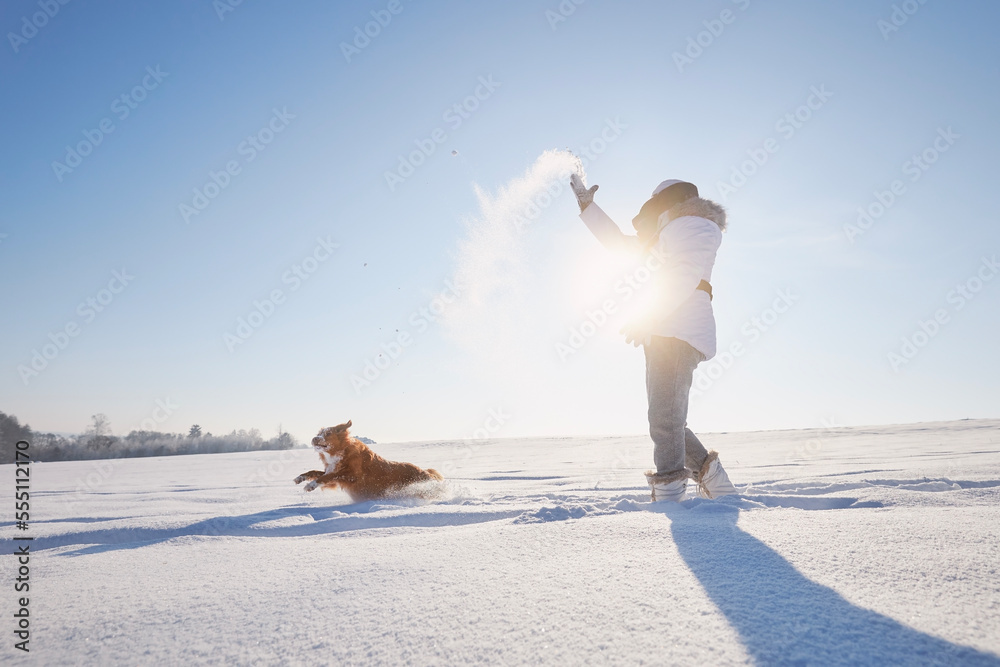 一名女子在雪地里散步时与狗玩耍。宠物主人带着他顽皮的十一月扔雪