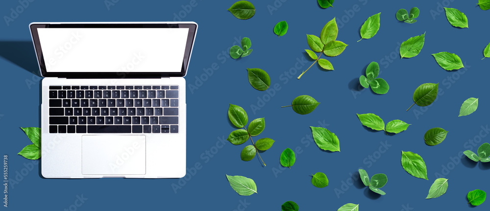 Laptop computer with green leaves - flat lay