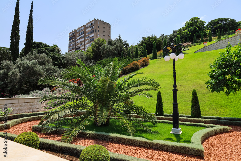 Beautiful city park with green plants on sunny day