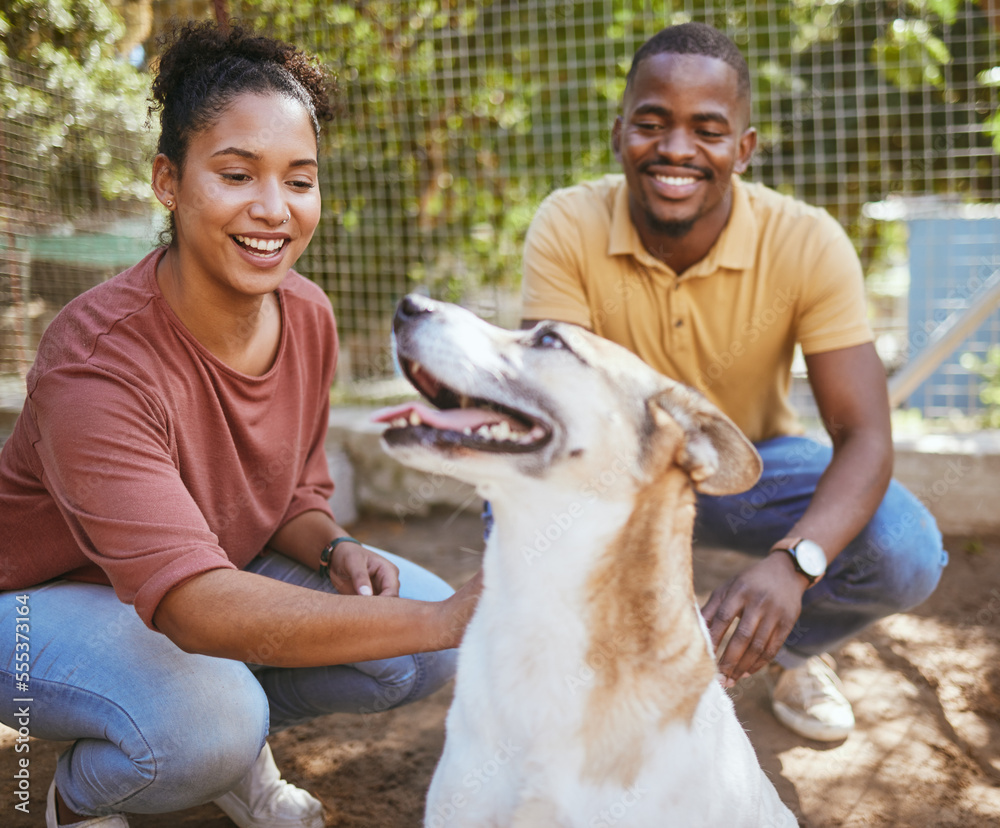 Black couple, dog and pet adoption at animal shelter for welfare, charity or help for homeless pets.