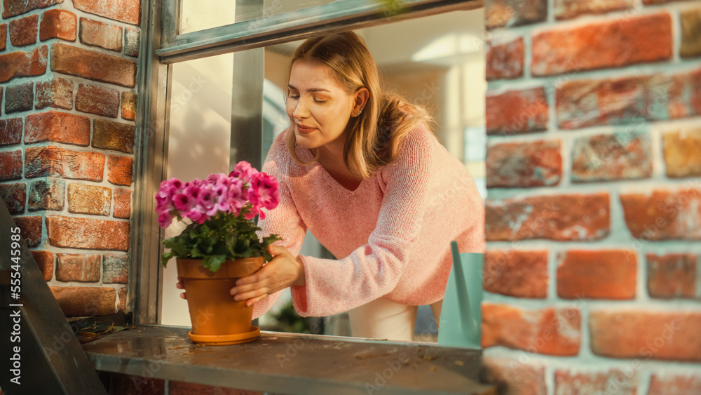 Young Female Watering Beautiful Pink Potted Flowers on a Window Sill in an Old Stylish Apartment Bui