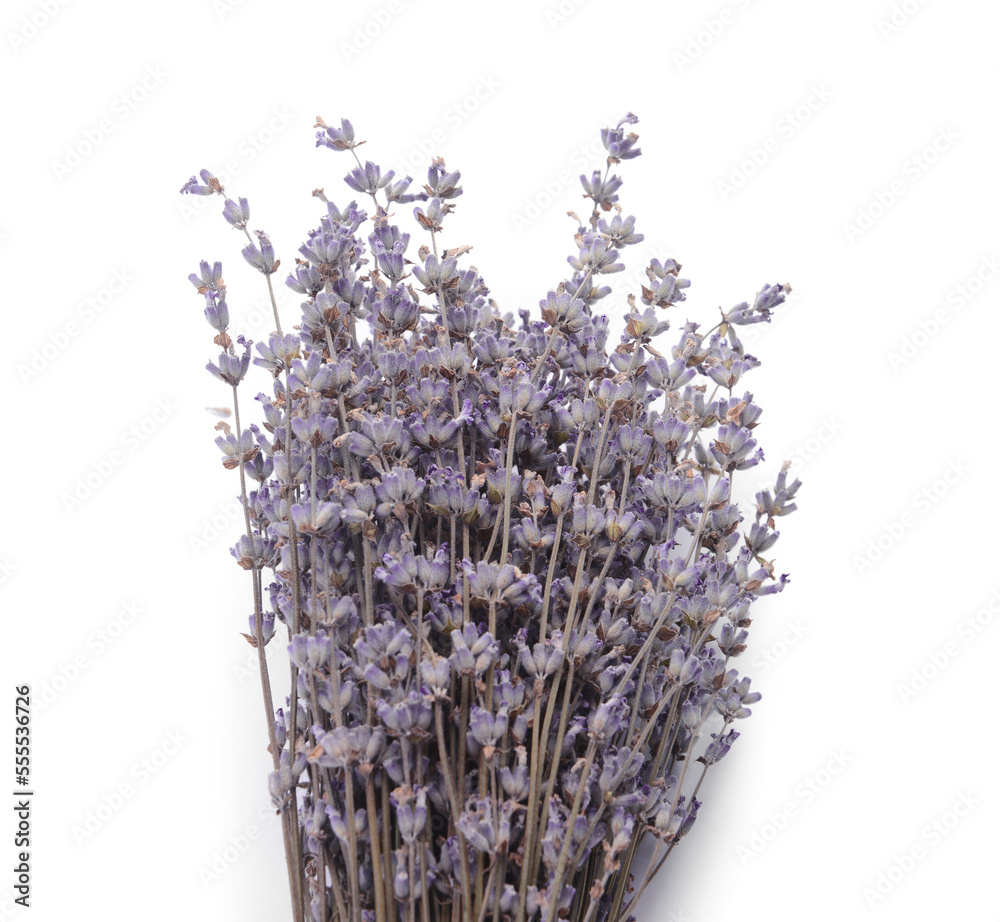 Beautiful bouquet of lavender flowers on white background, closeup