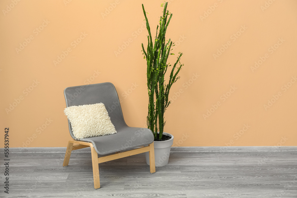 Comfortable armchair and green cactus near color wall in room