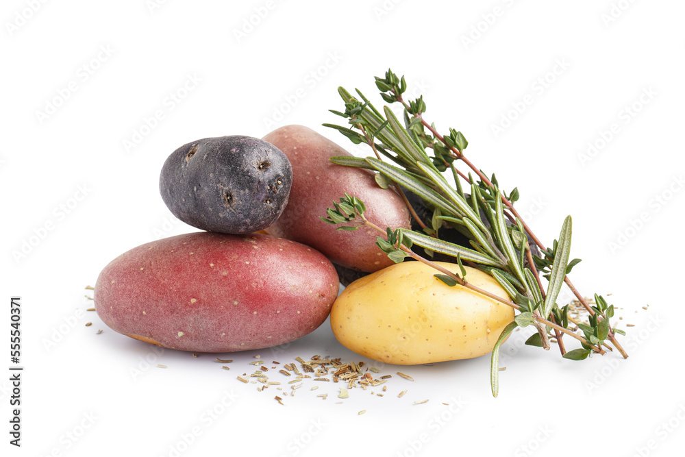 Heap of different raw potatoes and fresh herbs on white background