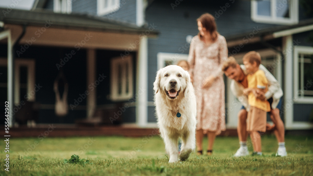 Portrait of a Happy Young Family Couple with Kids and a Golden Retriever Sitting on a Grass at Home.