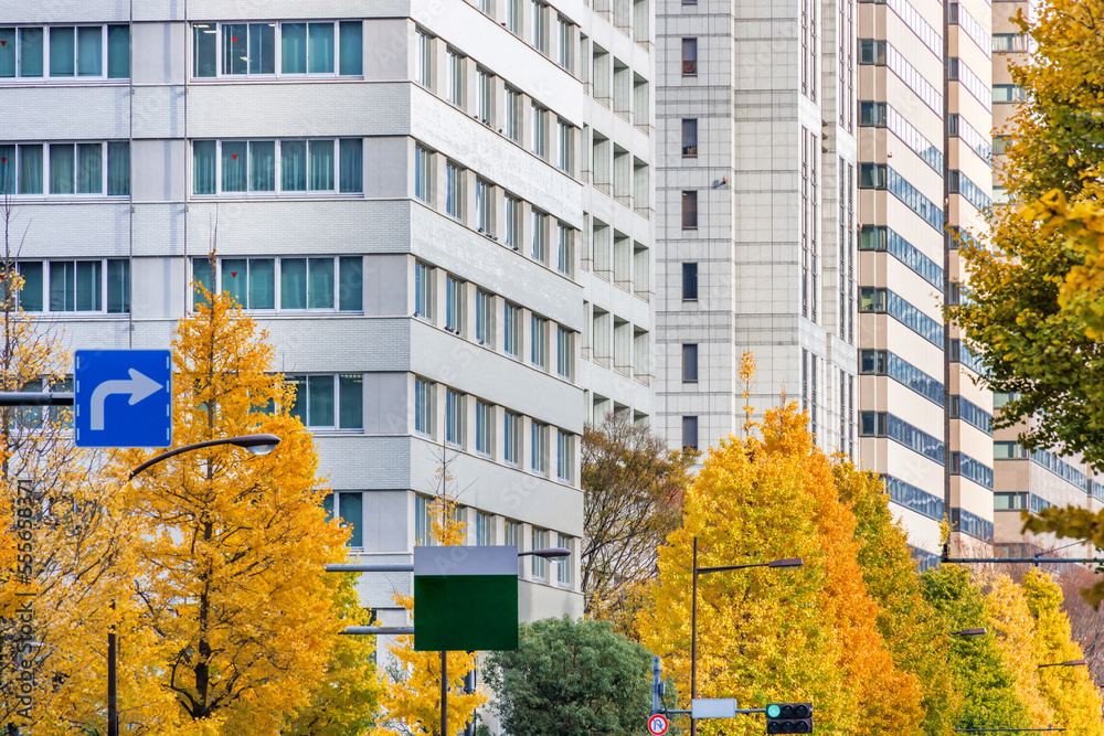 東京のビル群と紅葉した木