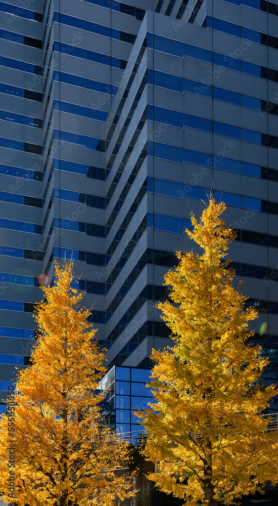 東京のビル群と紅葉した木