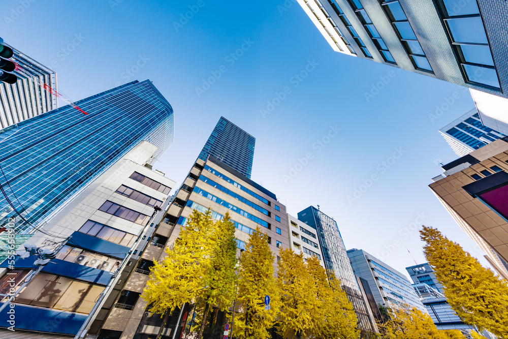 東京のビル群と紅葉した木