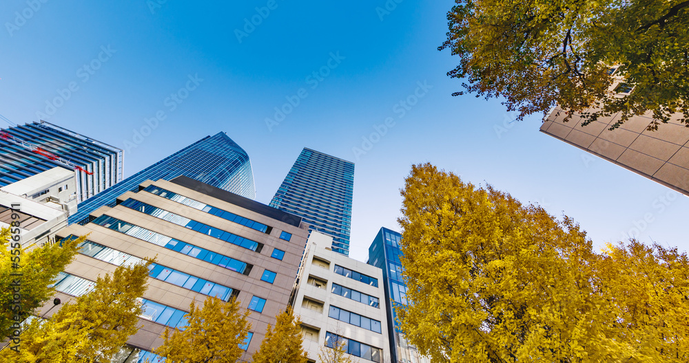 東京のビル群と紅葉した木