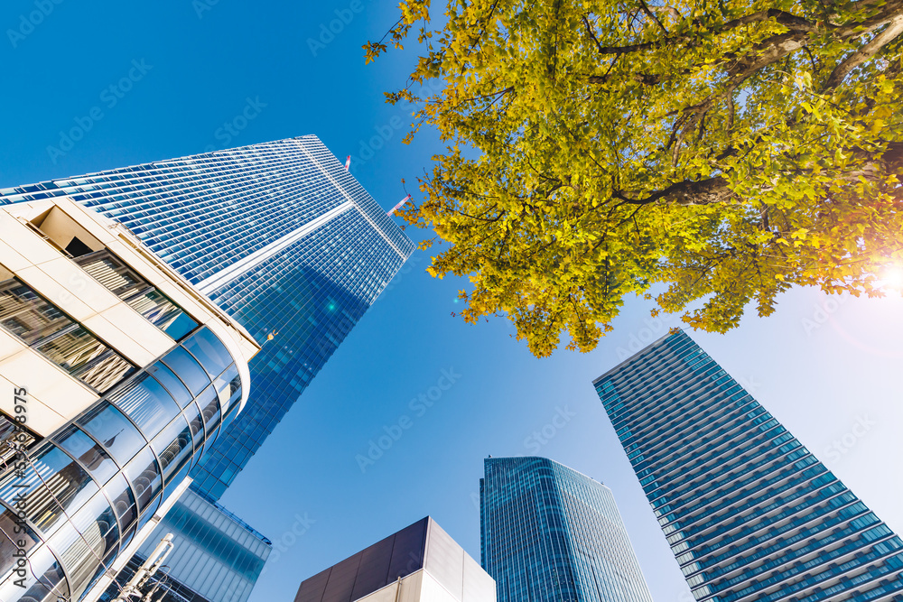 東京のビル群と紅葉した木