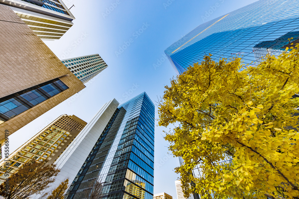 東京のビル群と紅葉した木