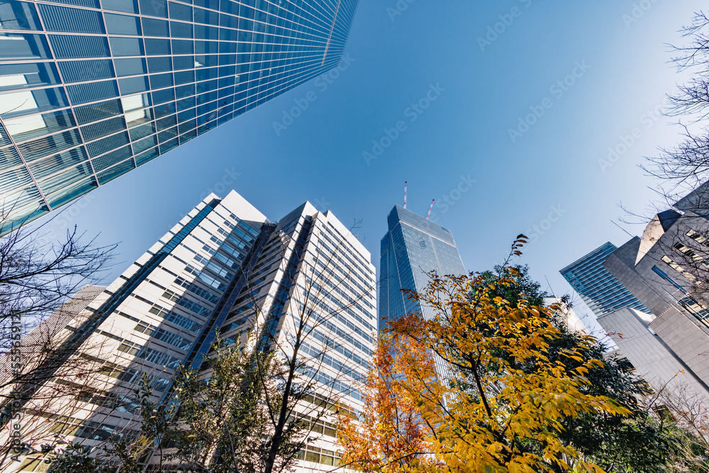 東京のビル群と紅葉した木