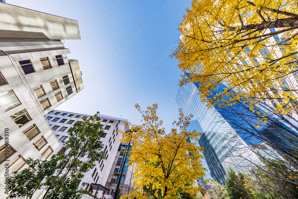 東京のビル群と紅葉した木