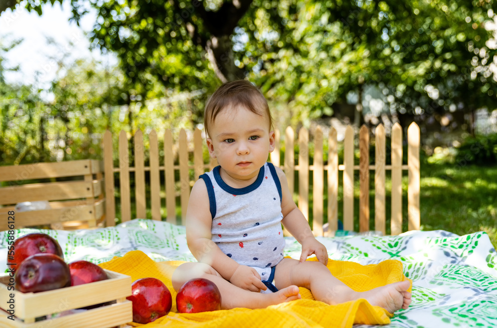 Portrait of a little happy boy at the picnic. Kid with apples. Outdoor fun for children.