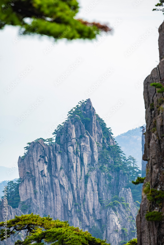 安徽省黄山风景区自然风光