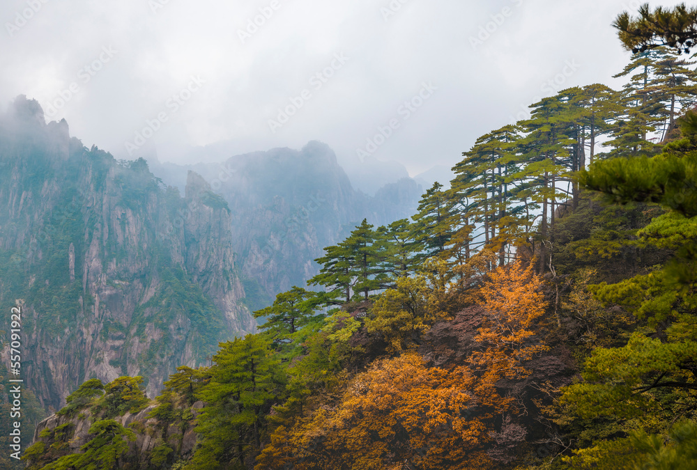 山间薄雾蒙蒙的早晨