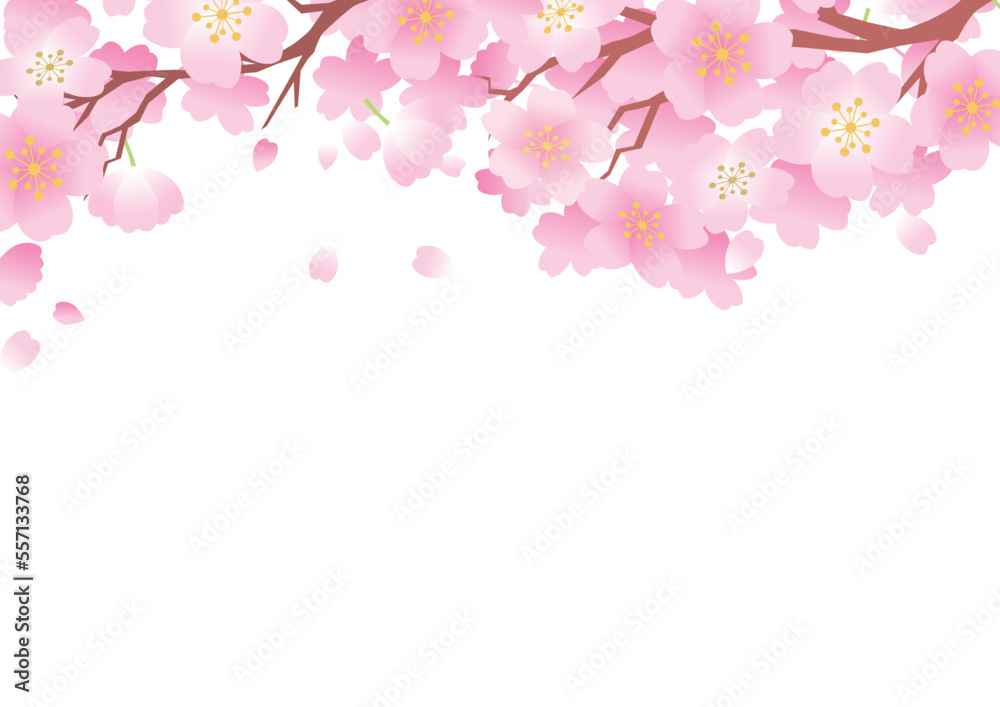 桜　春　花びら　背景