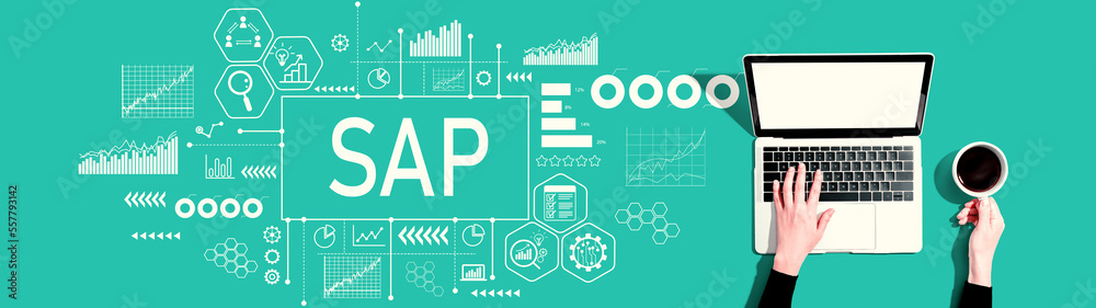 SAP-个人使用笔记本电脑的业务流程自动化软件主题