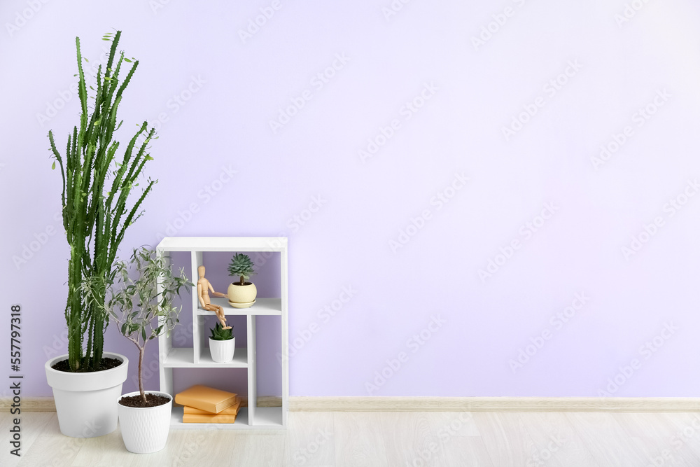 Different houseplants and shelf unit near color wall in room