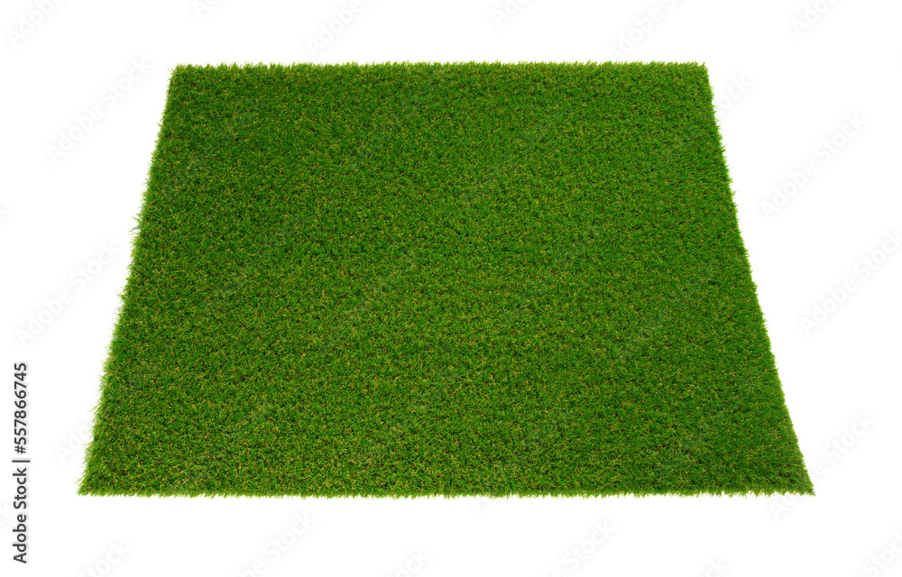 Artificial grass carpet on white