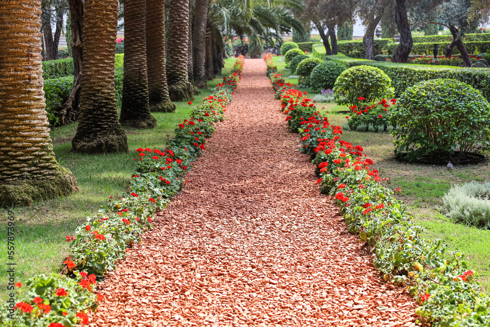 Pathway in park with blooming flowers and trees