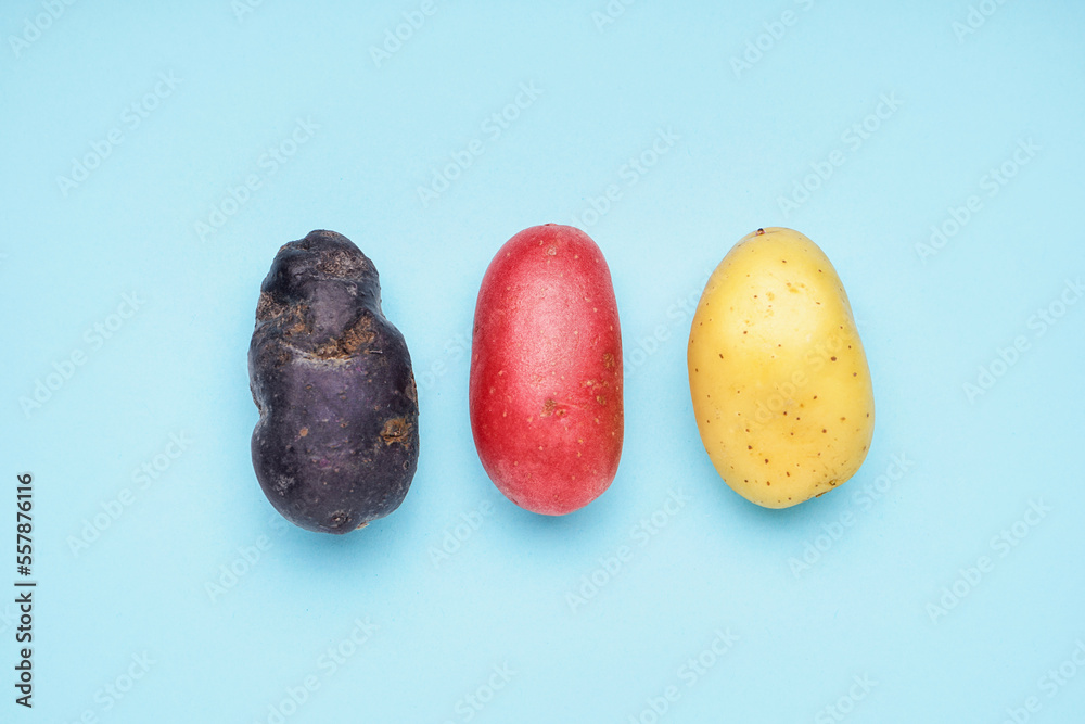 Three raw potatoes on color background