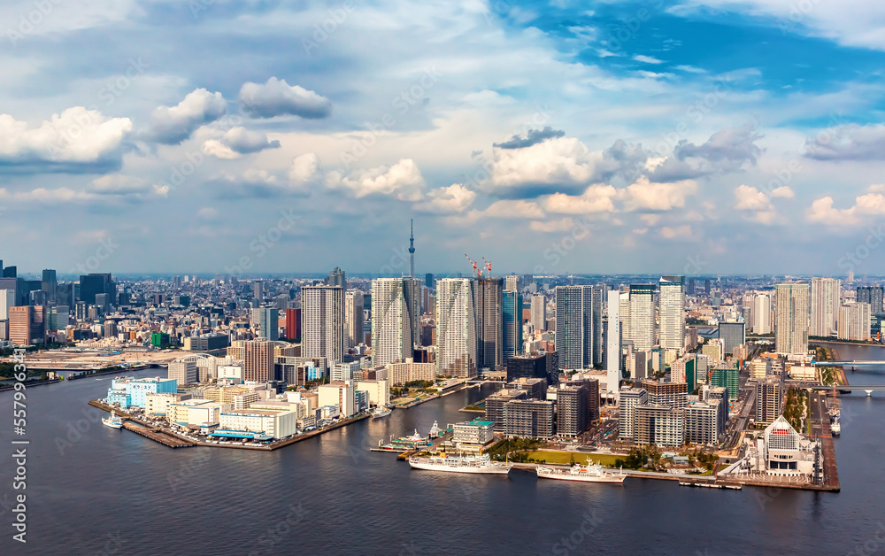 Aerial view of Odaiba Harbor in Minato City, Tokyo, Japan