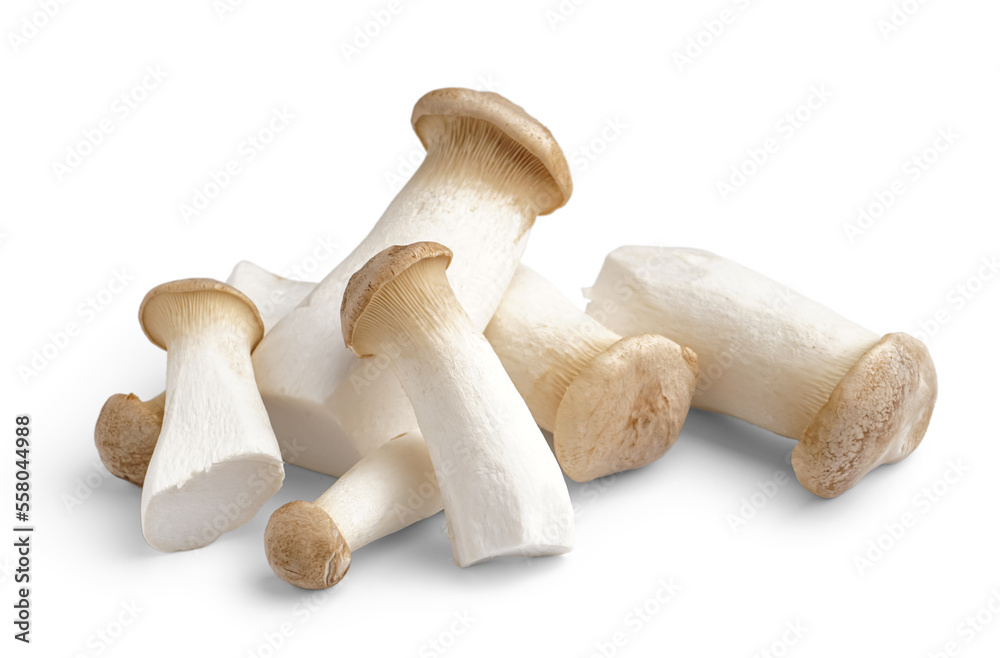 Heap of fresh king oyster mushrooms on white background