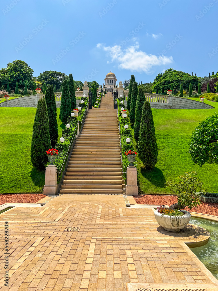 Beautiful view of park with plants and big stairs