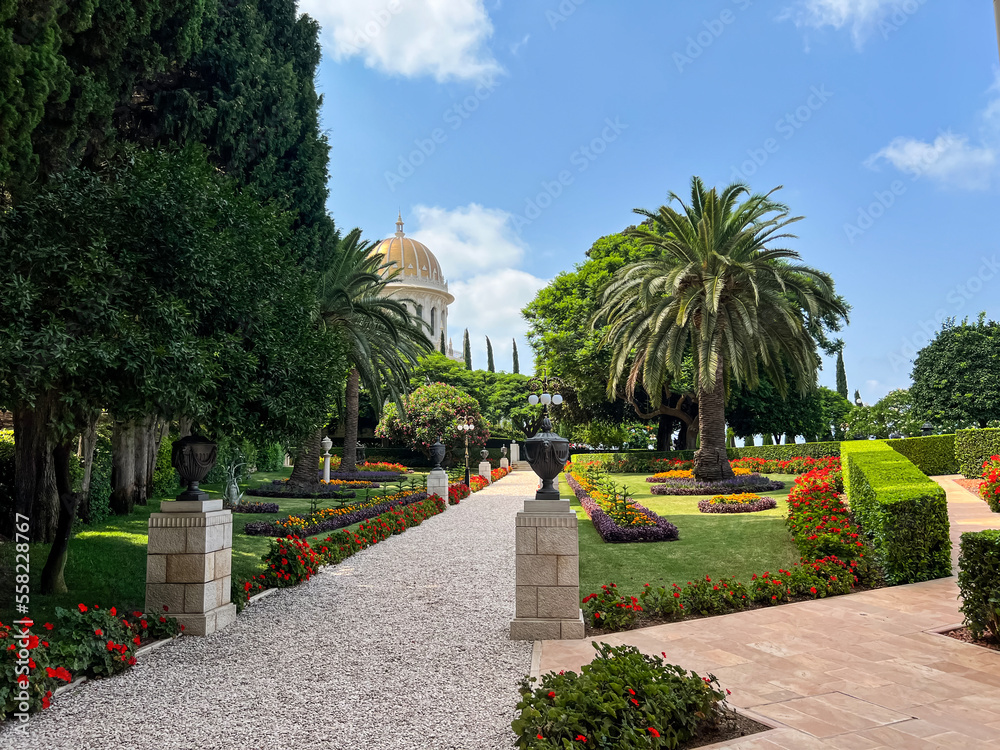 Beautiful park with green trees and flowers near pathway