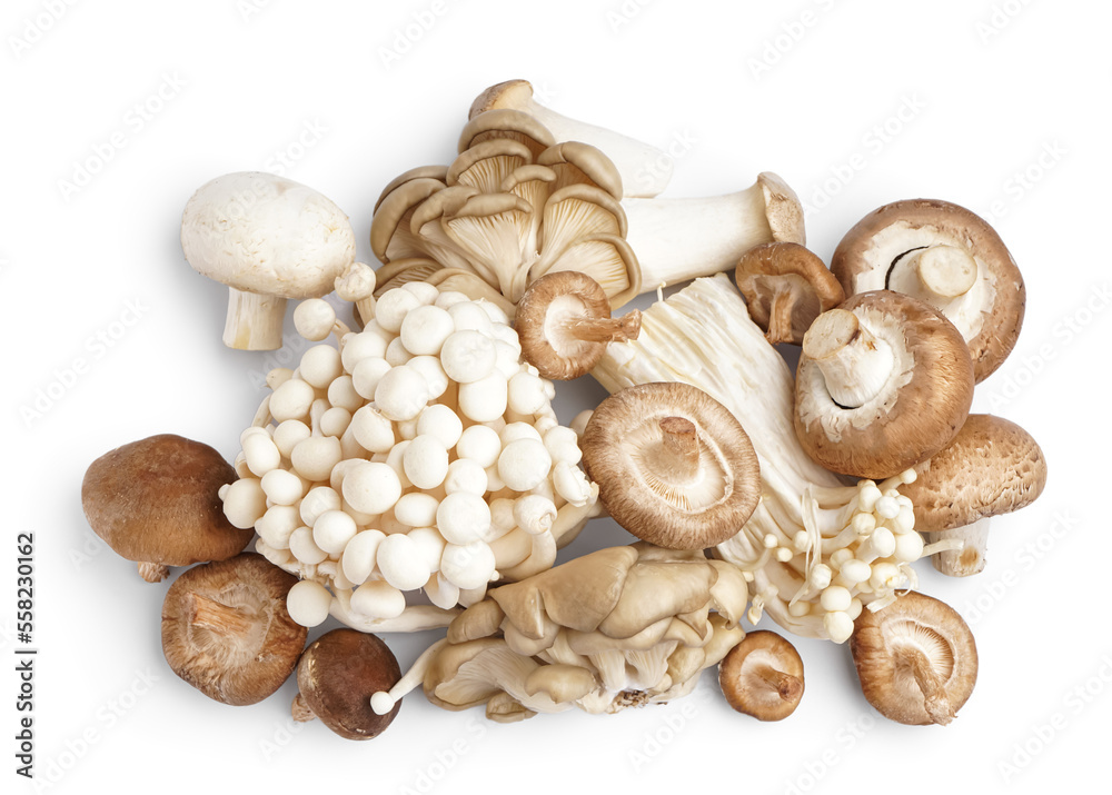 Heap of different fresh mushrooms on white background