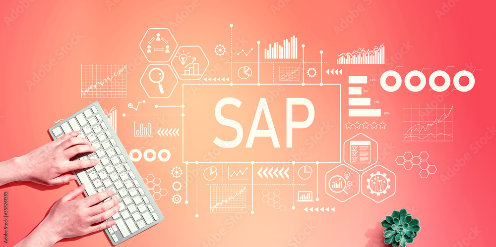 SAP-有人使用计算机键盘的业务流程自动化软件主题