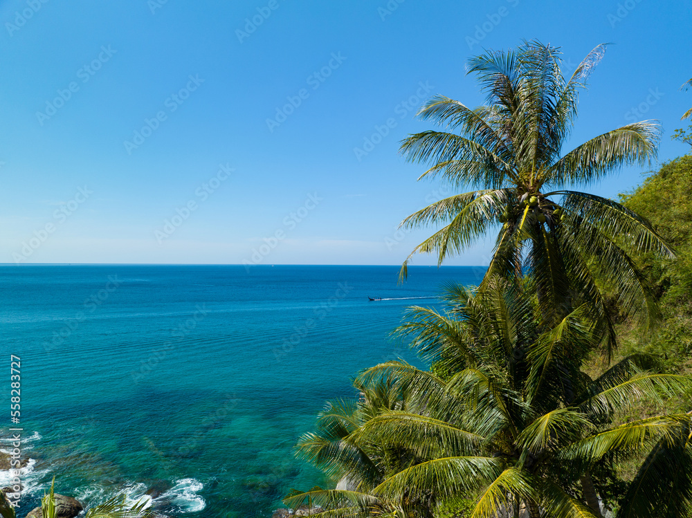 海岸海洋与椰子树构成自然背景，美丽的自然边界框架，Amazi