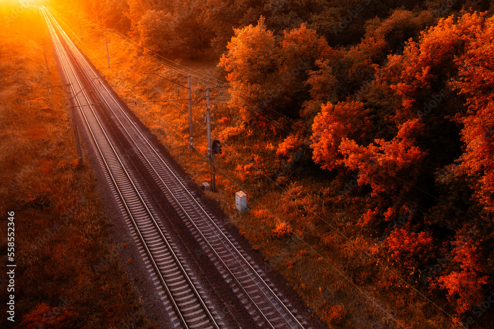 The railway through the autumn forest at dawn.