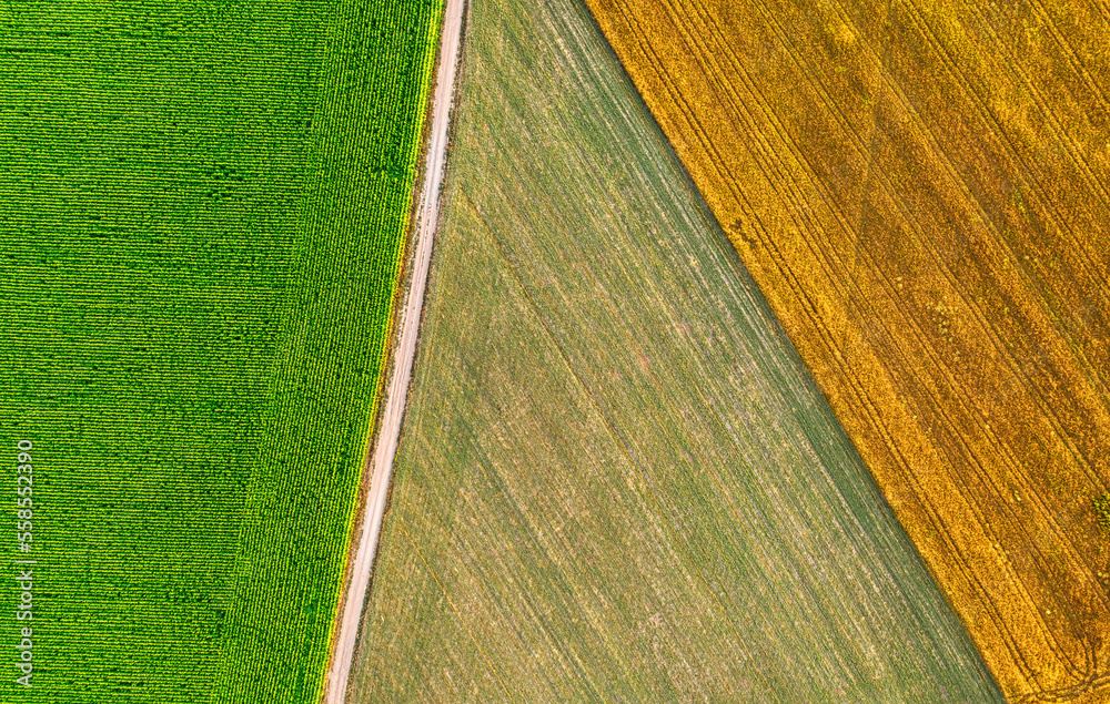 Agricultural fields in the countryside, a view from a drone.