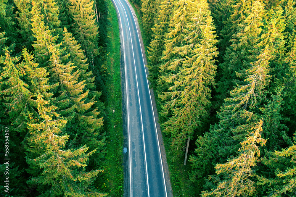 Drone view of a mountain road in an autumn forest.