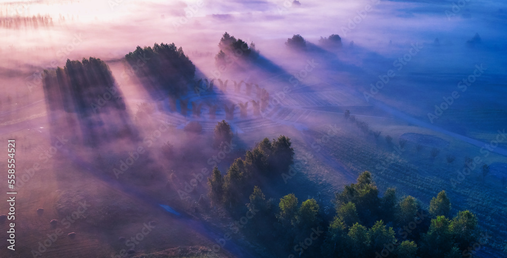 Dawn over the meadow. A wonderful summer landscape. Drone view. Morning fog.