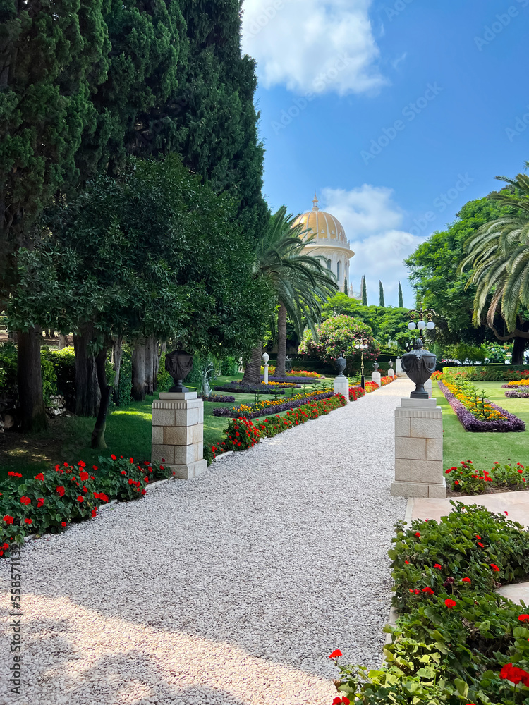 Park with beautiful flowers and trees near pathway