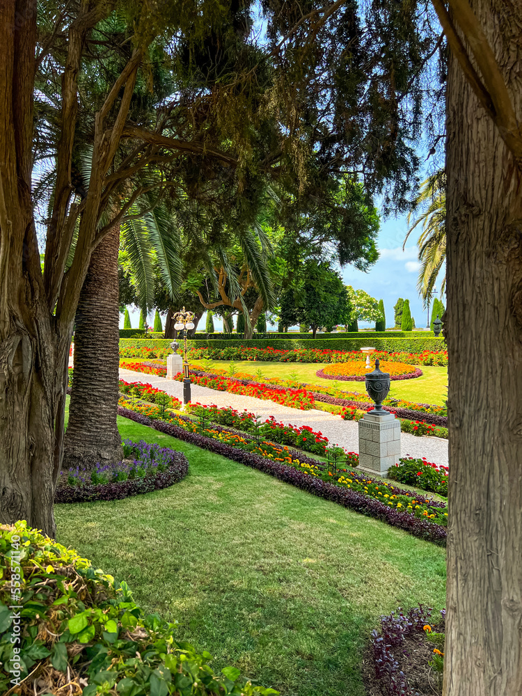 View of beautiful park with bright flowers and green trees on sunny day