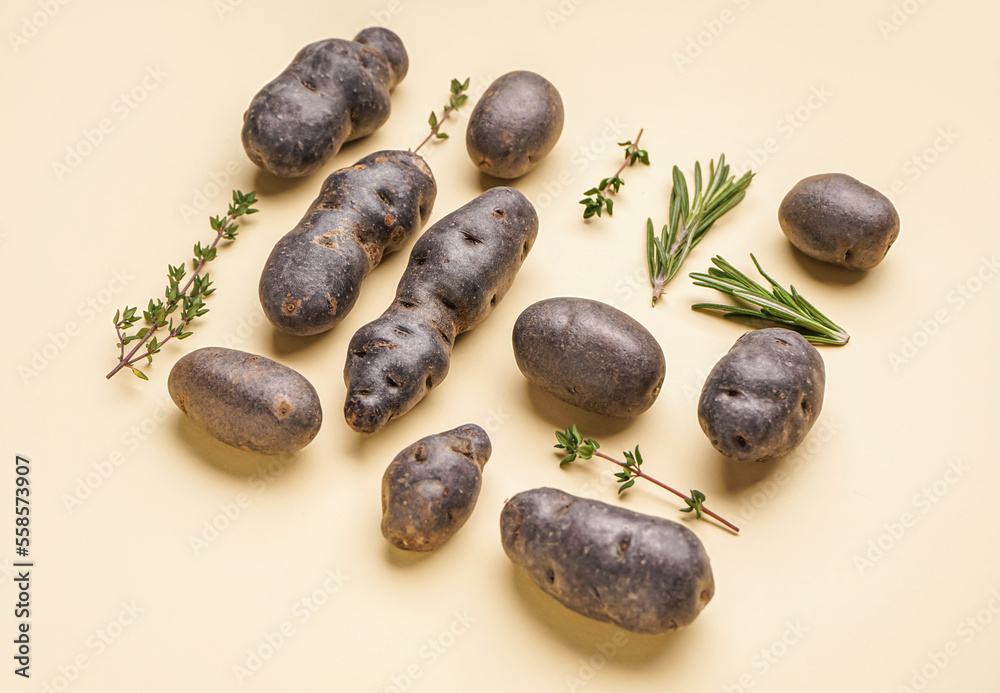 Composition with raw purple potatoes and herbs on color background