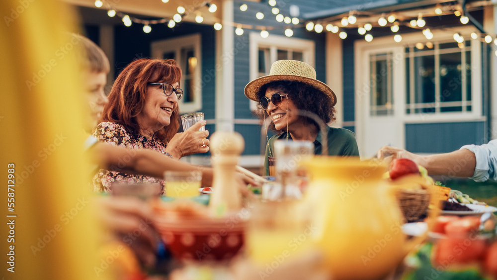 Excited Multiethnic Female Chatting with a Senior Woman at a Summer Garden Party. Happy Diverse Grou