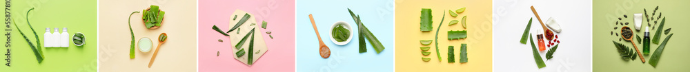 Collage of fresh aloe vera leaves, coconut, goji berries and natural cosmetic products on color back