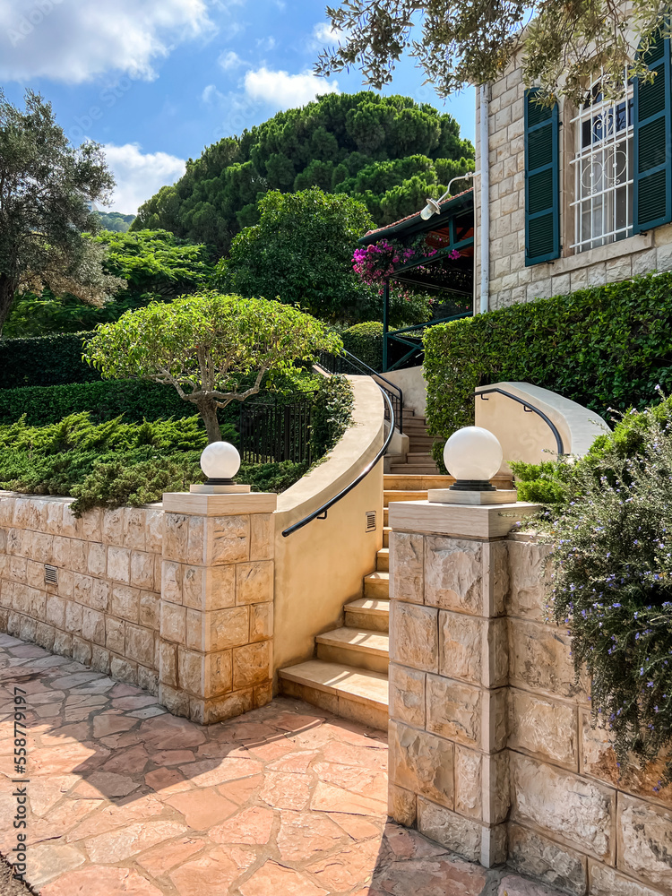 View of stairs and green plants in garden near house