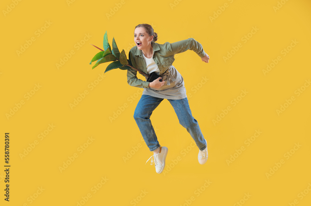 Female gardener with houseplant jumping on yellow background