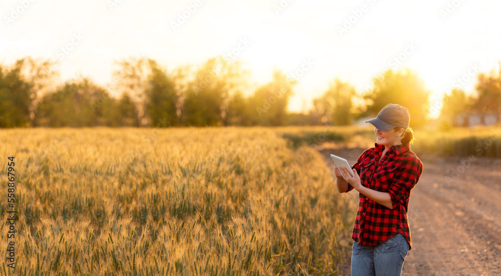 A woman farmer examines the field of cereals and sends data to the cloud from the tablet. Smart farm