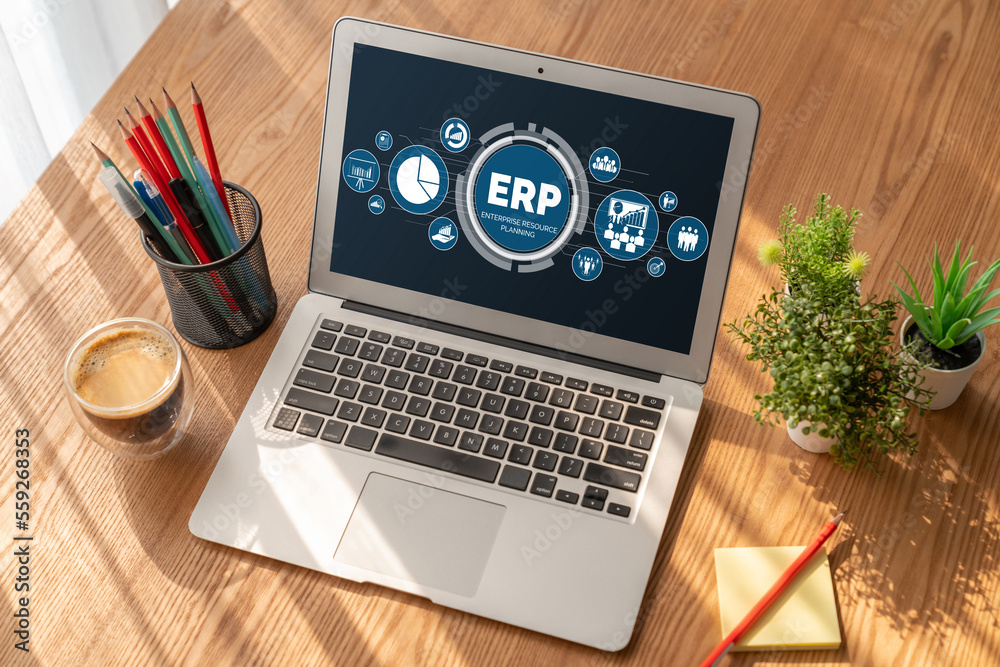 ERP enterprise resource planning software for modish business to plan the marketing strategy